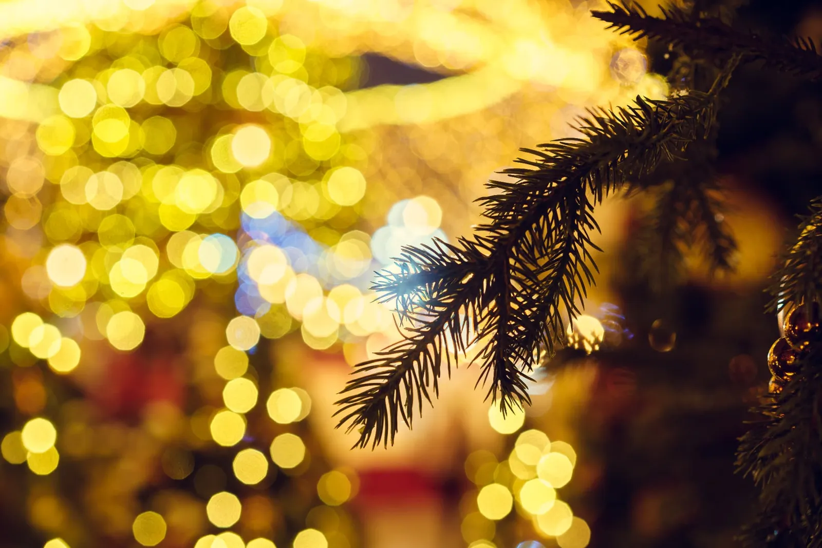 Warm glowing lights softly blurred behind a green branch at night